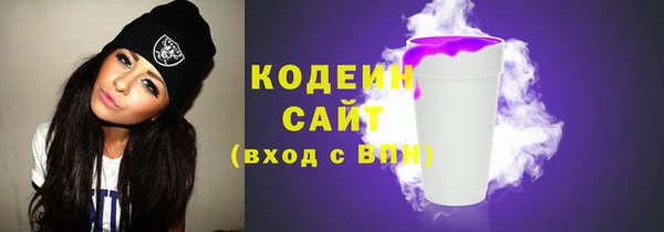 спиды Бородино